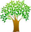 Tree Removal